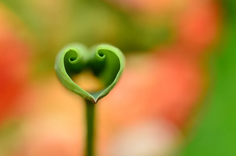 shutterstock_90686587